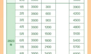 3周岁以下每孩每年3600元！国家育儿补贴方案公布